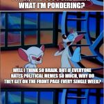 Are You Pondering What I'm Pondering | PINKY, ARE YOU PONDERING WHAT I'M PONDERING? WELL I THINK SO BRAIN. BUT IF EVERYONE HATES POLITICAL MEMES SO MUCH, WHY DO THEY GET ON THE FRONT PAGE EVERY SINGLE WEEK? | image tagged in are you pondering what i'm pondering | made w/ Imgflip meme maker