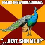 I am a huge fan of Kerrigan & Lowdermilk! | HEARS THE WORD ALABAMA; ". . .HEAT, SIGN ME UP" | image tagged in thespian peacock | made w/ Imgflip meme maker
