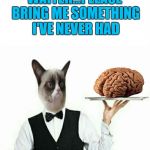 Grumpy Cat knows what you need!!! | WAITER...PLEASE BRING ME SOMETHING I'VE NEVER HAD | image tagged in grumpy cat waiter,memes,no brain,funny,grumpy cat,waiter | made w/ Imgflip meme maker