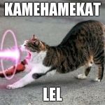 Kamehameha Cat | KAMEHAMEKAT; LEL | image tagged in kamehameha cat | made w/ Imgflip meme maker