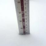 Snow Inches