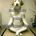Friday Yoga dog | COLDPLAY; YOGA; ESSENTIAL OILS | image tagged in friday yoga dog | made w/ Imgflip meme maker