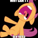 Scootaloo can't fly yet, and she's not happy | WHY CAN'T I; FLY YET? | image tagged in frightened scootaloo,memes,scootaloo,flying,my little pony | made w/ Imgflip meme maker