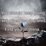 Tired | You should keep going; Even when you are tired. Find your stamina. | image tagged in tired | made w/ Imgflip meme maker