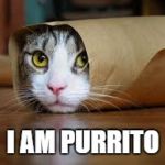 Funny animals | I AM PURRITO | image tagged in funny animals | made w/ Imgflip meme maker