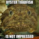 Oyster Toadfish | OYSTER TOADFISH; IS NOT IMPRESSED | image tagged in oyster toadfish | made w/ Imgflip meme maker