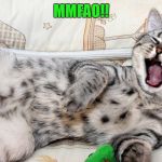 retirement cat | MMFAO!! | image tagged in laughing cat | made w/ Imgflip meme maker