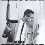 Malcom X with Carbine | MALCOM X; TERRORIST | image tagged in malcom x with carbine | made w/ Imgflip meme maker