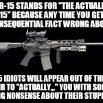 Ar15 | AR-15 STANDS FOR "THE ACTUALLY RIFLE 15" BECAUSE ANY TIME YOU GET SOME INCONSEQUENTIAL FACT WRONG ABOUT IT, 15 IDIOTS WILL APPEAR OUT OF THI | image tagged in ar15 | made w/ Imgflip meme maker