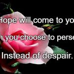 Rose | Hope will come to you; When you choose to persevere; Instead of despair. | image tagged in rose | made w/ Imgflip meme maker