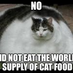 Fat Cat | NO; I DID NOT EAT THE WORLD’S SUPPLY OF CAT FOOD | image tagged in fat cat | made w/ Imgflip meme maker