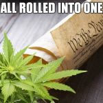 Constitution-Cannabis | ALL ROLLED INTO ONE | image tagged in constitution-cannabis | made w/ Imgflip meme maker