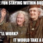 Princess Bride Miracle Max | HAVE FUN STAYING WITHIN BUDGET! THINK IT'LL WORK? IT WOULD TAKE A MIRACLE | image tagged in princess bride miracle max | made w/ Imgflip meme maker