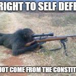 Repeal this | MY RIGHT TO SELF DEFENSE; DOES NOT COME FROM THE CONSTITUTION. | image tagged in guns constitution | made w/ Imgflip meme maker