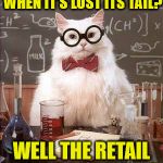 I always wondered | WHERE SHOULD A DOG GO WHEN IT’S LOST ITS TAIL? WELL THE RETAIL STORE OF COURSE | image tagged in science cat good day,cats,dogs,funny,bad puns,animals | made w/ Imgflip meme maker