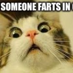 Funny animals | WHEN SOMEONE FARTS IN CLASS | image tagged in funny animals | made w/ Imgflip meme maker