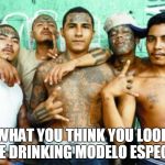 mexican gang members | WHAT YOU THINK YOU LOOK LIKE DRINKING MODELO ESPECIAL | image tagged in mexican gang members | made w/ Imgflip meme maker