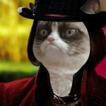 Wonka Grumpy Cat meme