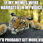 I've been told many times I have a nice voice. | IF MY MEMES WERE NARRATED IN MY VOICE, THEY'D PROBABLY GET MORE VIEWS. | image tagged in confession tiger,voice | made w/ Imgflip meme maker