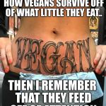 I wonder how vegans survive off of what little they eat.. | SOMETIMES I WONDER HOW VEGANS SURVIVE OFF OF WHAT LITTLE THEY EAT.. THEN I REMEMBER THAT THEY FEED OFF OF ATTENTION | image tagged in vegan,how vegas survive | made w/ Imgflip meme maker
