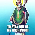 St Patrick & Snakes | I THOUGHT I TOLD YOU LOT... TO STAY OUT OF MY IRISH PUB!!! | image tagged in st patrick  snakes | made w/ Imgflip meme maker
