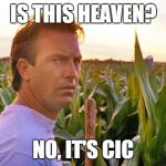 field of dreams | IS THIS HEAVEN? NO, IT'S CIC | image tagged in field of dreams | made w/ Imgflip meme maker