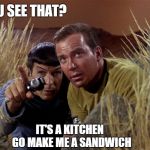 Spock and Kirk | YOU SEE THAT? IT'S A KITCHEN; GO MAKE ME A SANDWICH | image tagged in spock and kirk | made w/ Imgflip meme maker
