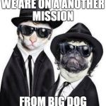 Blues Brothers Animals | WE ARE ON A ANOTHER MISSION; FROM BIG DOG | image tagged in blues brothers animals | made w/ Imgflip meme maker