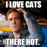 Hey Dude | I LOVE CATS; THERE HOT. | image tagged in hey dude | made w/ Imgflip meme maker