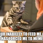 cat computer | YOUR INABILITY TO FEED ME ON TIME HAS FORCED ME TO MEME YOU! | image tagged in cat computer | made w/ Imgflip meme maker