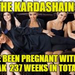 Kardashians | THE KARDASHAINS; HAVE BEEN PREGNANT WITHOUT A BREAK  237 WEEKS IN TOTAL NOW | image tagged in kardashians | made w/ Imgflip meme maker