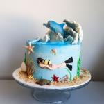 Dolphin Cake