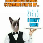 Might be useful for comments? (Template by Raydog.) | HOW ABOUT A NICE STEAMING PLATE OF... I DON'T CARE | image tagged in grumpy cat waiter,grumpy cat,memes,waiter,comments,i don't care | made w/ Imgflip meme maker