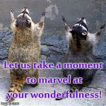 praise the lord | Let us take a moment to marvel at your wonderfulness! | image tagged in praise the lord | made w/ Imgflip meme maker