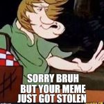 Shaggy | SORRY BRUH BUT YOUR MEME; JUST GOT STOLEN | image tagged in shaggy | made w/ Imgflip meme maker