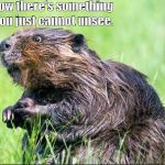 Wide eyed beaver | Now there's something you just cannot unsee. | image tagged in wide eyed beaver | made w/ Imgflip meme maker