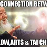 tai chi master | THE CONNECTION BETWEEN; FLOW ARTS & TAI CHI? | image tagged in tai chi master | made w/ Imgflip meme maker