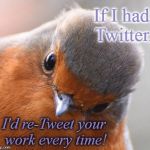 Bird Look | If I had Twitter, I'd re-Tweet your work every time! | image tagged in bird look | made w/ Imgflip meme maker