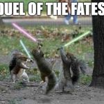 jedi squirrels | DUEL OF THE FATES. | image tagged in jedi squirrels | made w/ Imgflip meme maker