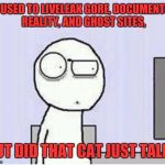 Shocked guy | I'M USED TO LIVELEAK GORE, DOCUMENTING REALITY, AND GHOST SITES, BUT DID THAT CAT JUST TALK? | image tagged in shocked guy | made w/ Imgflip meme maker