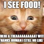 Excited Kitten | I SEE FOOD! THERE A TREAAAAAAAAAAT WITH IT THANKS HUMAN I STILL NO LIKE YOU | image tagged in excited kitten | made w/ Imgflip meme maker
