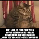 chubby cat | THAT LOOK ON YOUR FACE WHEN YOU'VE BEEN WORKING SO HARD ON YOUR DIET BUT SOMEONE ASKS WHEN YOU'RE GOING TO START YOUR DIET | image tagged in chubby cat,cat,cats,diet,dieting,fat | made w/ Imgflip meme maker