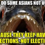 Political erections | WHY DO SOME ASIANS NOT VOTE? BECAUSE THEY KEEP HAVING E-R-ECTIONS, NOT ELECTIONS. | image tagged in bad joke piranha,asian,memes,political correctness,erection,election | made w/ Imgflip meme maker