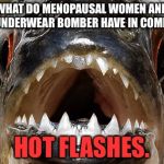 This joke is below the belt | WHAT DO MENOPAUSAL WOMEN AND THE UNDERWEAR BOMBER HAVE IN COMMON? HOT FLASHES. | image tagged in bad joke piranha,menopause,underwear,bomb,flash,memes | made w/ Imgflip meme maker