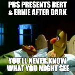 Ernie and Bert | PBS PRESENTS BERT & ERNIE AFTER DARK; YOU'LL NEVER KNOW WHAT YOU MIGHT SEE | image tagged in ernie and bert | made w/ Imgflip meme maker