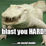 Albino Aligator | I'll blast you HARD!!!! ............on social media | image tagged in albino aligator | made w/ Imgflip meme maker