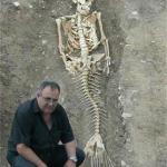 Mermaid Skeleton meme