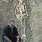 Now, do you believe in Mermaids?! | Actual Mermaid Skeleton; Discovered off the shores of Crete. | image tagged in mermaid skeleton,vince vance,scientist unearths skeletal remains,of mermaid,atlantis,fossilized skeleton of mermaid | made w/ Imgflip meme maker