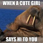 Sexy walrus | WHEN A CUTE GIRL; SAYS HI TO YOU | image tagged in sexy walrus | made w/ Imgflip meme maker