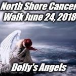 sad angel | North Shore Cancer Walk June 24, 2018; Dolly's Angels | image tagged in sad angel | made w/ Imgflip meme maker